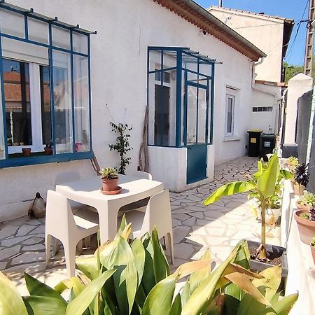 Charmante Maison T2 De Plein Pied Avec Exterieur Calme Aux Arenes Villa Béziers Eksteriør billede